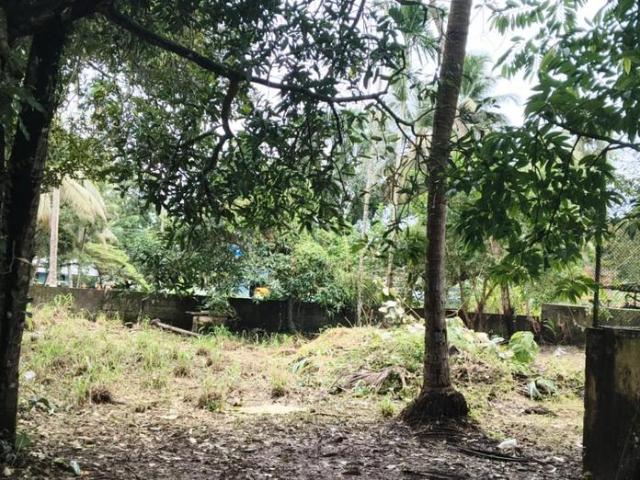 Land for sale in Vyttila, Ernakulam