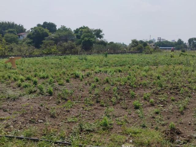 Land for sale in Wagholi, Pune