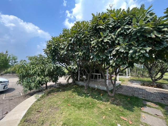 Land for sale in Poona, National Capital Territory Of Delhi