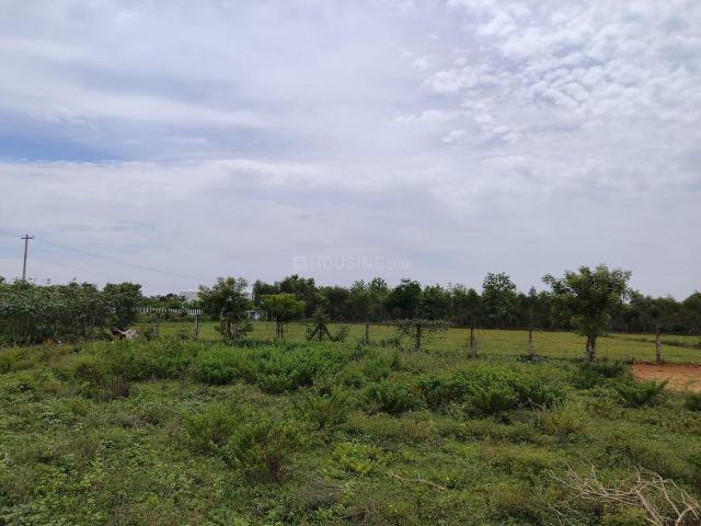 Land for sale in Walajabad, Tamil Nadu