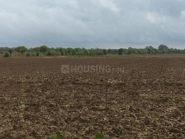 Land for sale in Poona, National Capital Territory Of Delhi