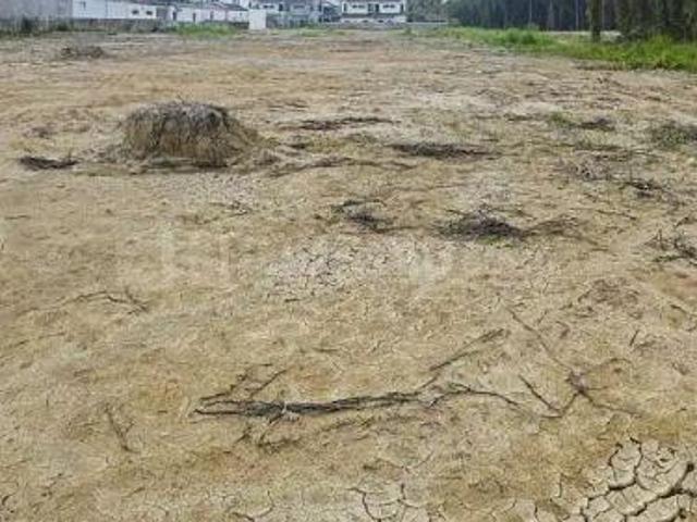 Land for sale in Poona, National Capital Territory Of Delhi