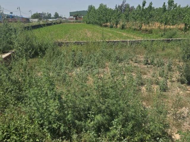 Land for sale in Vasundhara - Delhi, Arunachal Pradesh