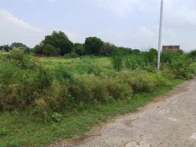 Land for sale in Gautam Buddha Nagar, Uttar Pradesh