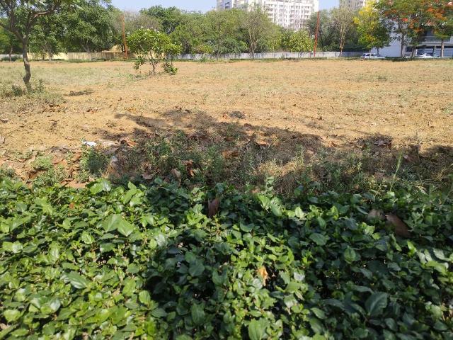 Land for sale in Hariana