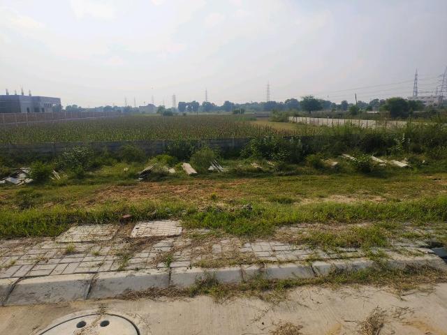 Land for sale in Hariana