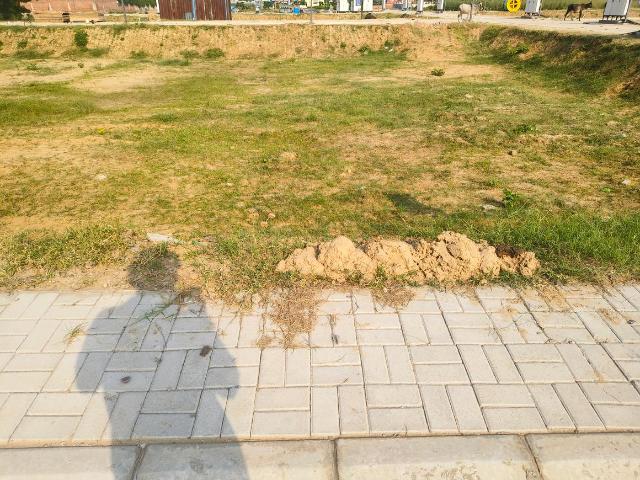 Land for sale in Hariana