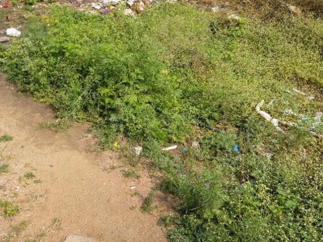 Land for sale in Haidarabad, Telangana