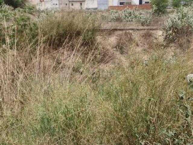 Land for sale in Murad, Arunachal Pradesh