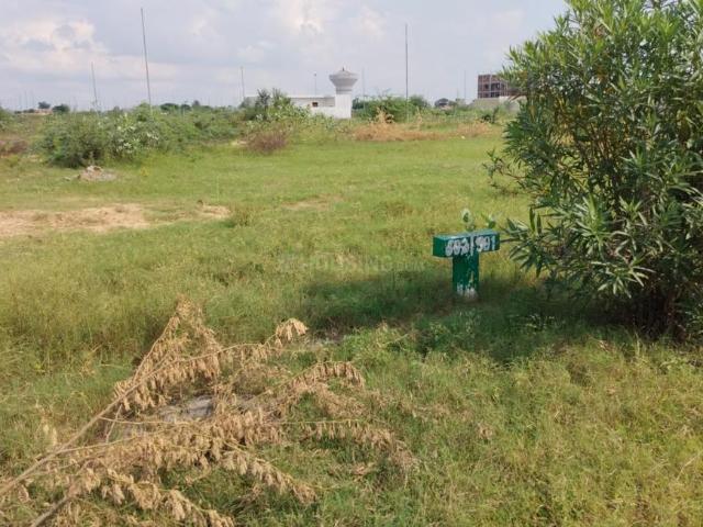 Land for sale in Murad, Arunachal Pradesh
