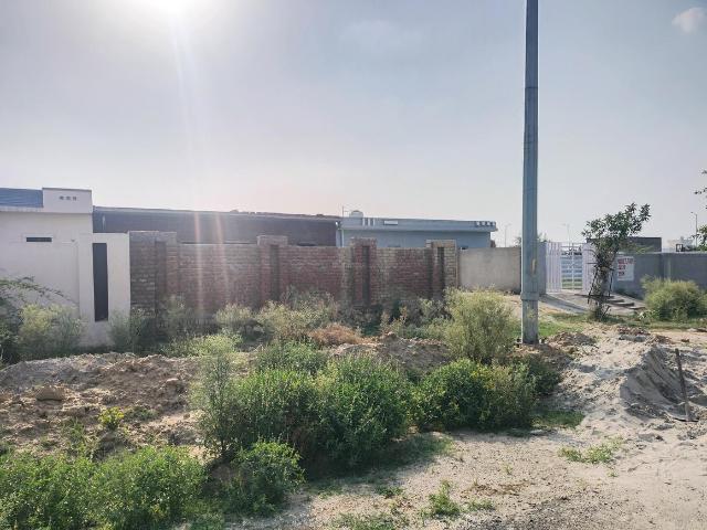Land for sale in Arunachal Pradesh