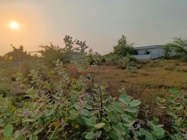 Land for sale in Arunachal Pradesh