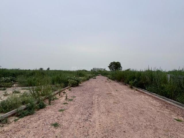 Land for sale in Murad, Arunachal Pradesh