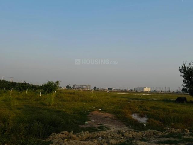 Land for sale in Pachokara, Gautam Buddha Nagar