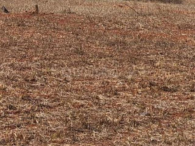 Land for sale in Karnataka