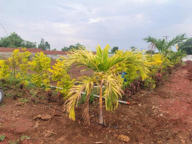 Land for sale in Allipur, Zahirabad mandal