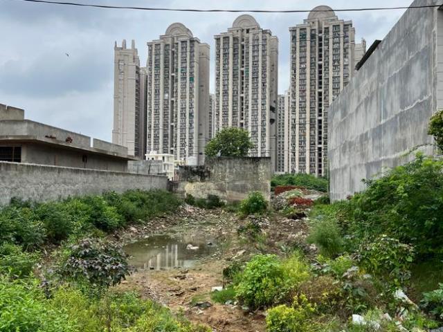 Land for sale in Greater Noida, Gautam Buddha Nagar