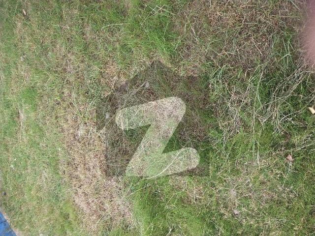 Property for sale in Islamabad