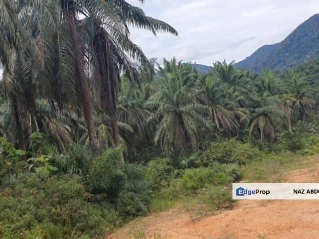 Shop for sale in Pedas, Negeri Sembilan