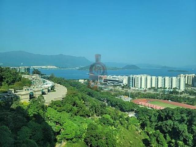 提供 出租 的 公寓