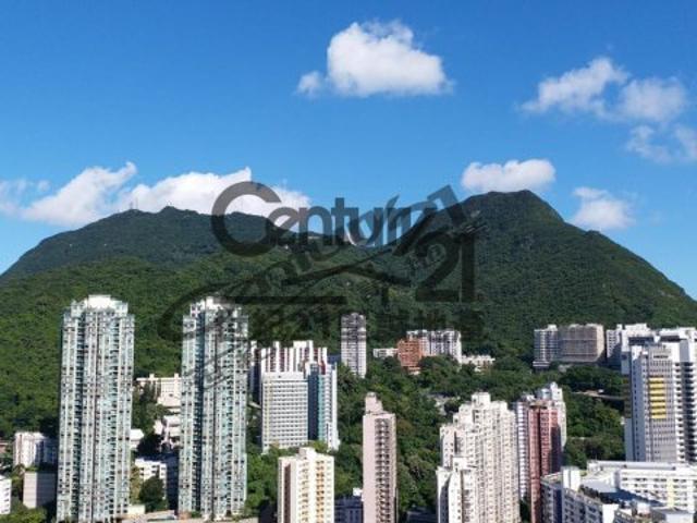 提供 出租 的 公寓