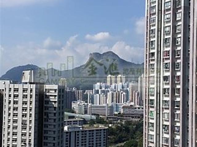 提供 出租 的 公寓