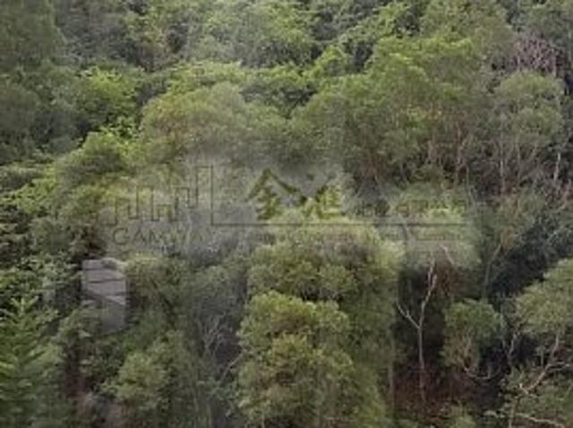 提供 出租 的 公寓