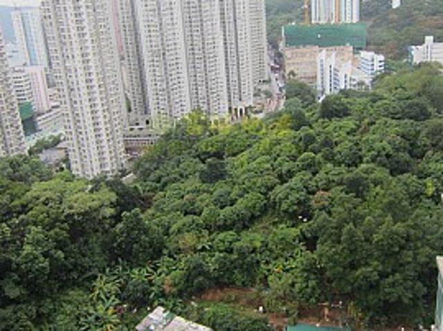 提供 出租 的 公寓