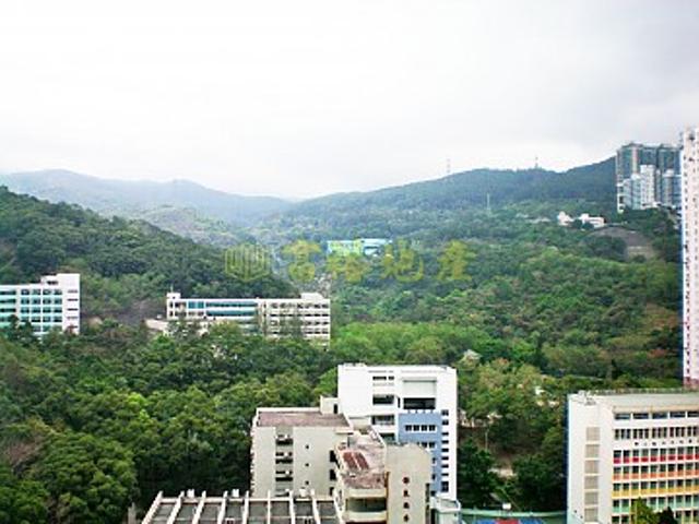 提供 出租 的 公寓