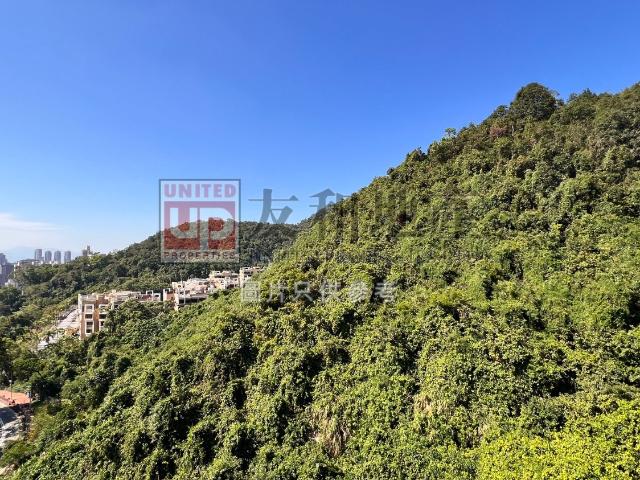 提供 出租 的 公寓