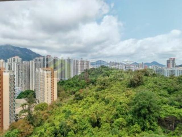 提供 出租 的 公寓
