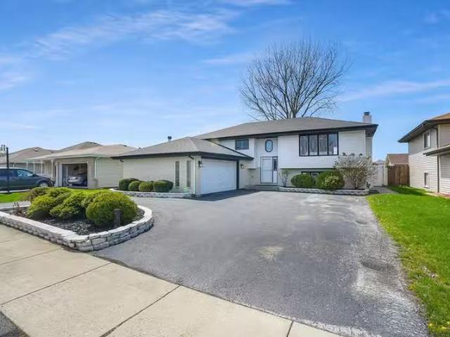 House for rent in Bedford Park