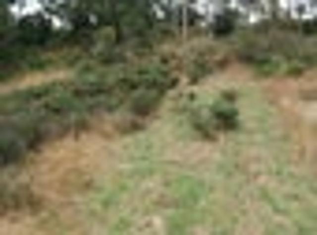 Land for sale in Otakou