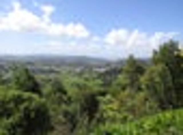 Land for sale in Whangarei, Northland