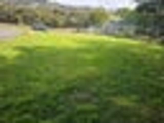 Land for sale in Karetu, Northland