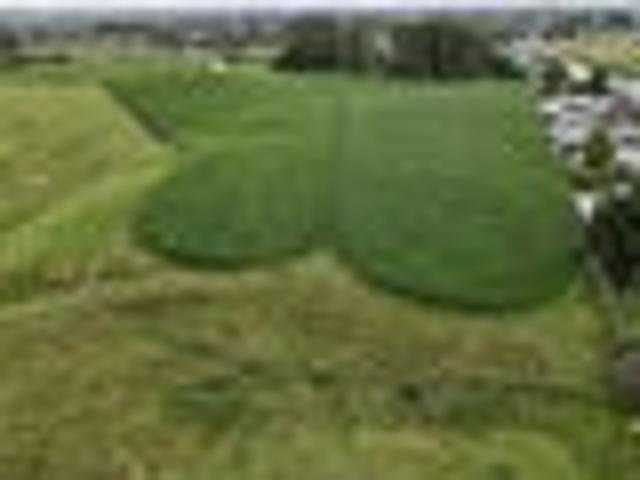 Land for sale in Putaruru, Waikato