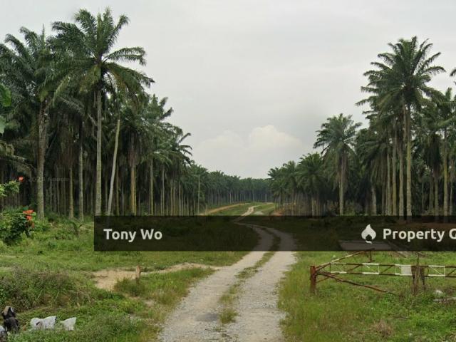 Property for sale in Malaka