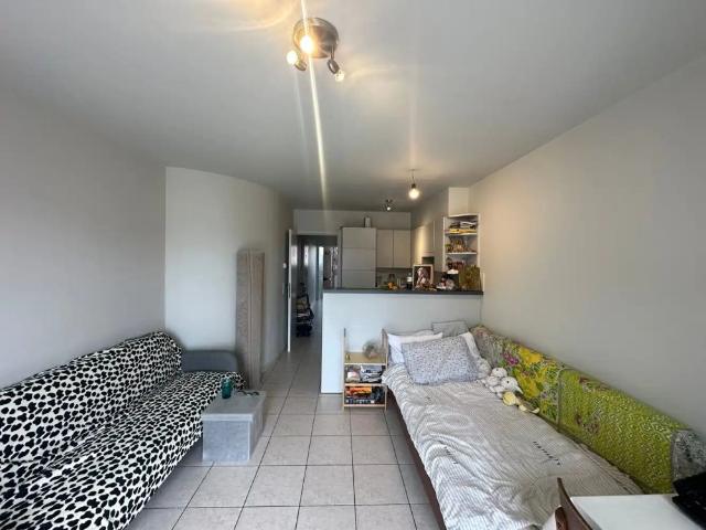 Appartement location à Oostende