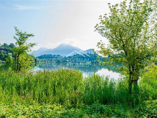 Einfamilienhaus kaufen in Collina d'Oro, Tessin