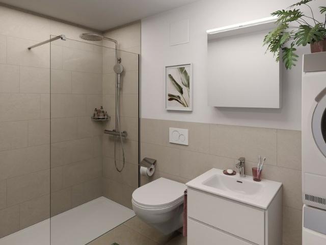 Apartment mieten in Tenero-Contra