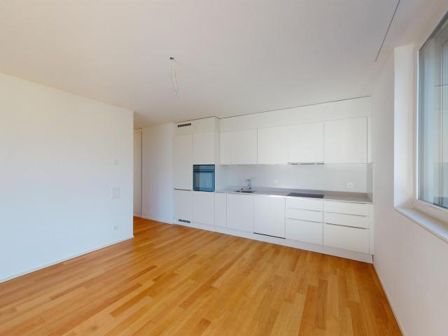 Apartment mieten in Locarno