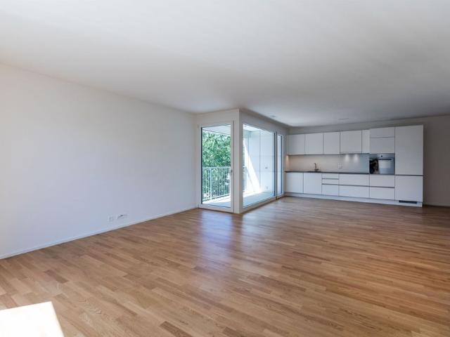 Apartment mieten in Massagno, Tessin