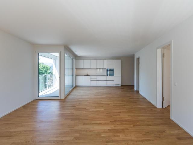 Apartment mieten in Massagno, Tessin