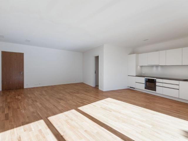 Apartment mieten in Massagno, Tessin