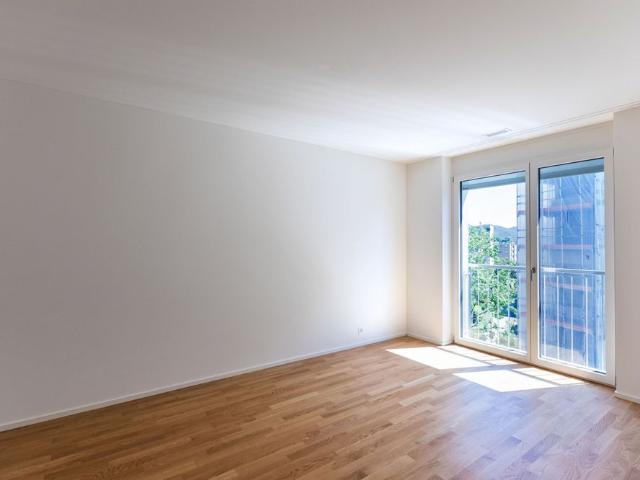 Apartment mieten in Massagno, Tessin