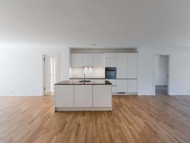 Wohnung mieten in Massagno, Tessin