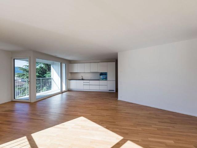 Apartment mieten in Massagno, Tessin