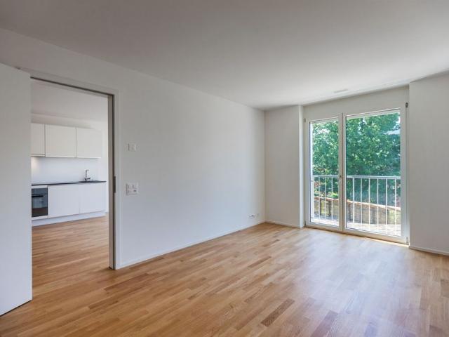 Apartment mieten in Massagno, Tessin