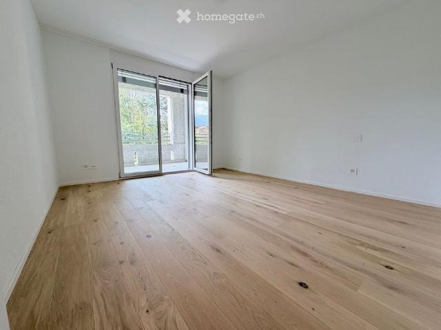 Apartment mieten in Locarno Monti, Locarno