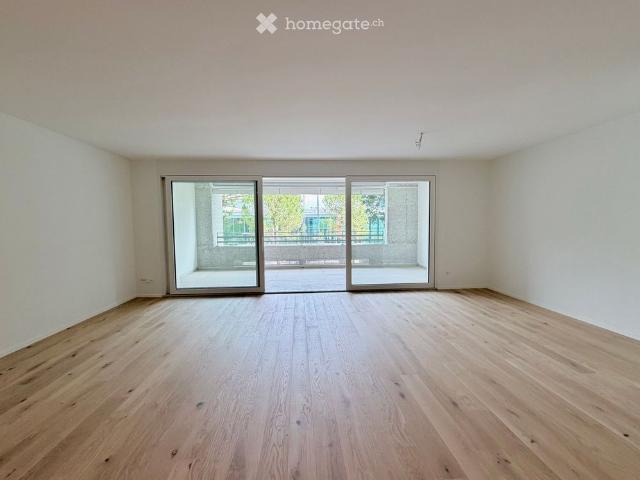 Apartment mieten in Locarno Monti, Locarno